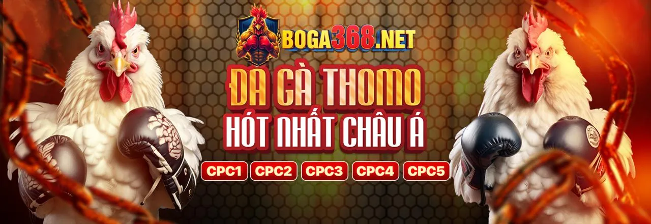 Người chơi ăn mừng chiến thắng Jackpot lớn tại VN666